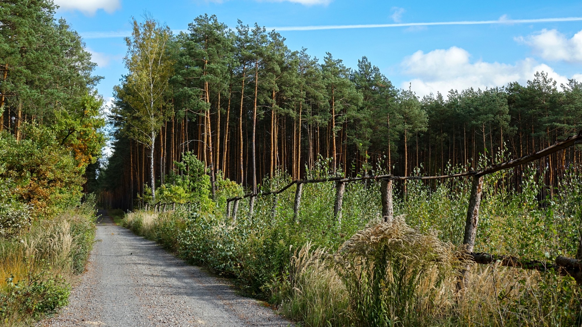 Wrzesień w obiektywie - zdjęcie 9