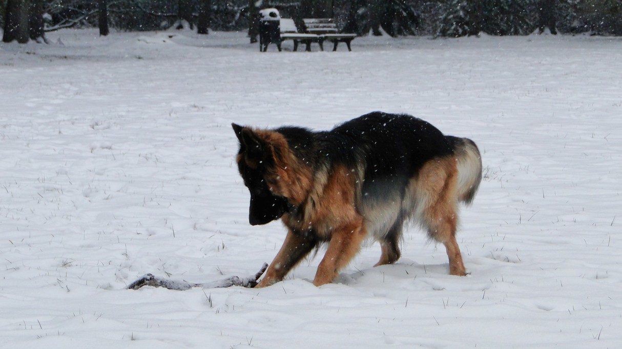 Minione zimy w Polsce - zdjęcie 18