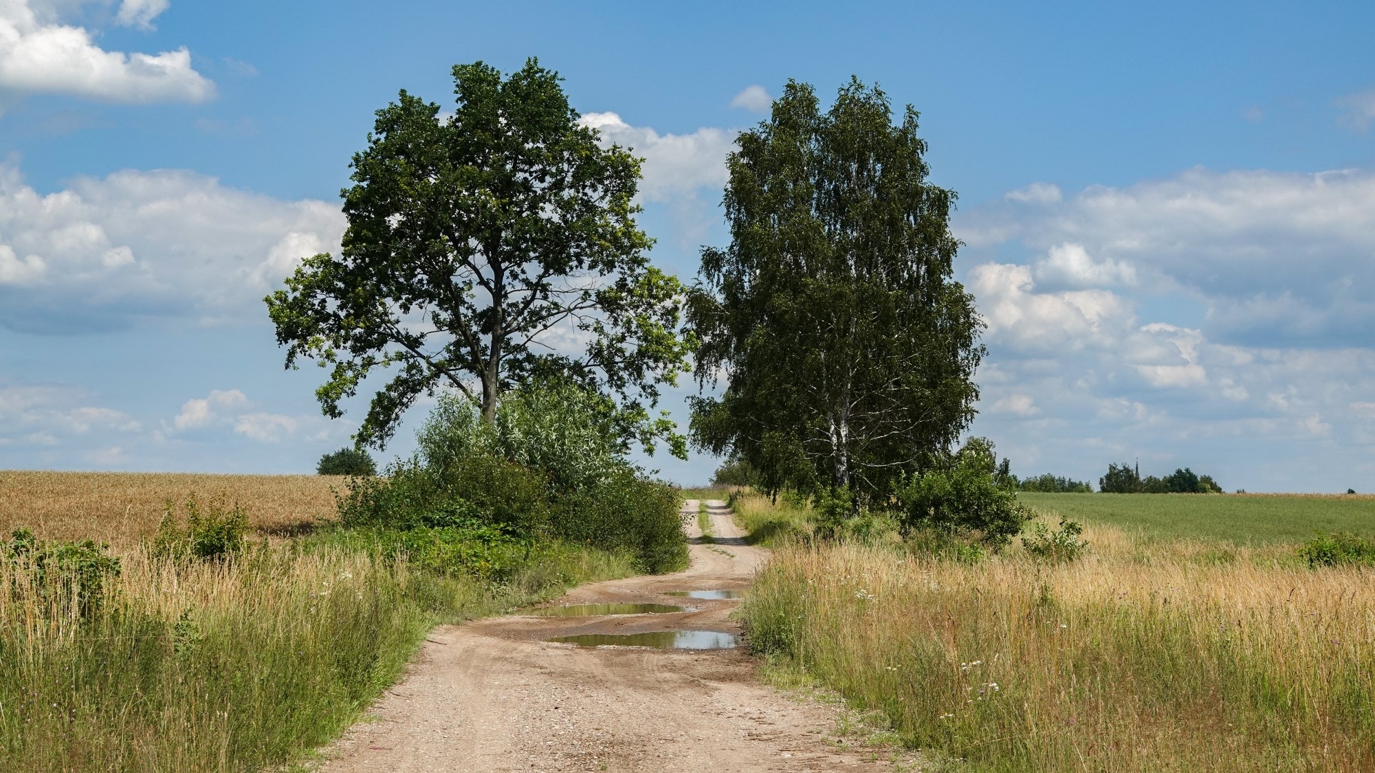Podróż przez polską prowincję - zdjęcie 47