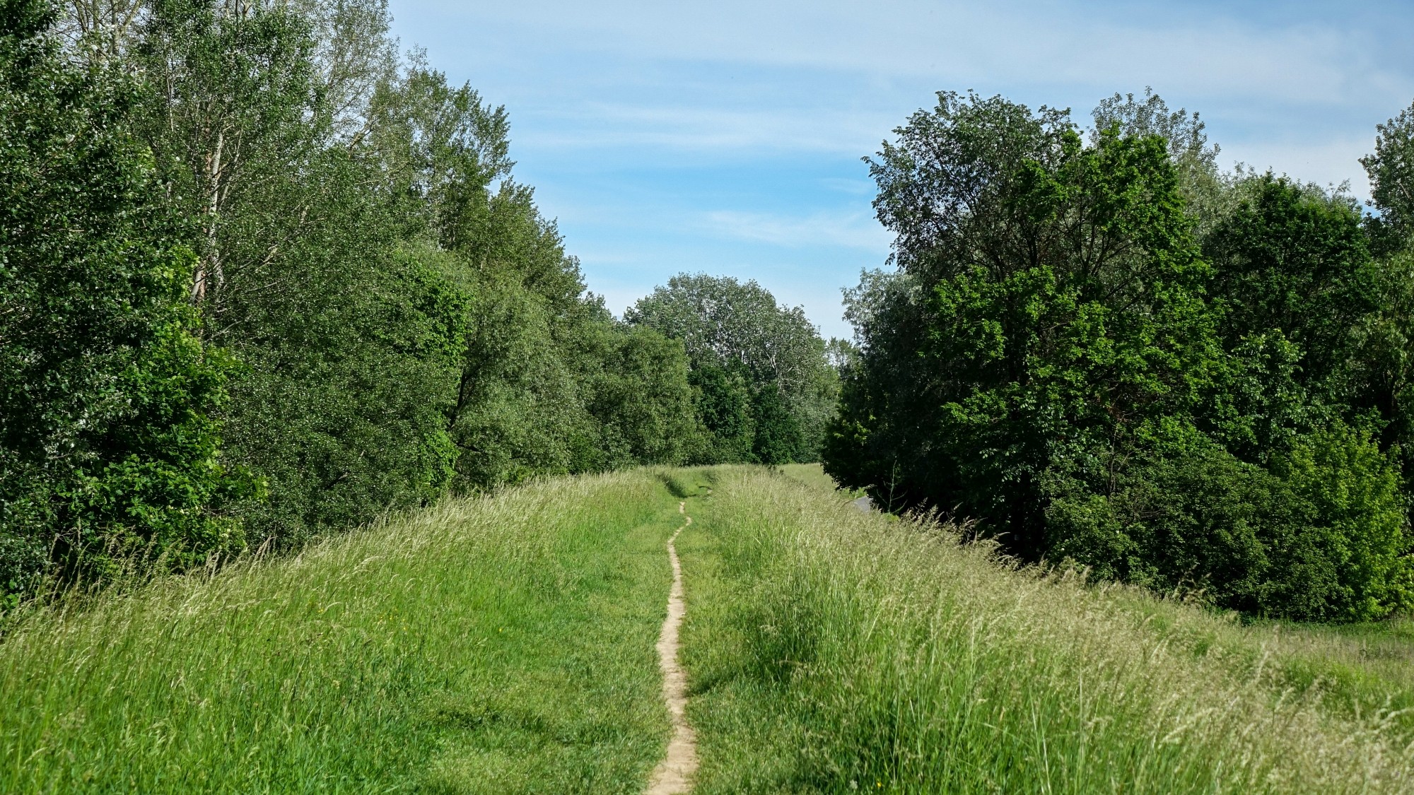 Maj w obiektywie - zdjęcie 31