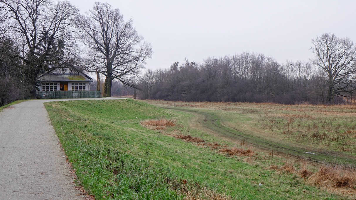 Styczeń w obiektywie - zdjęcie 53