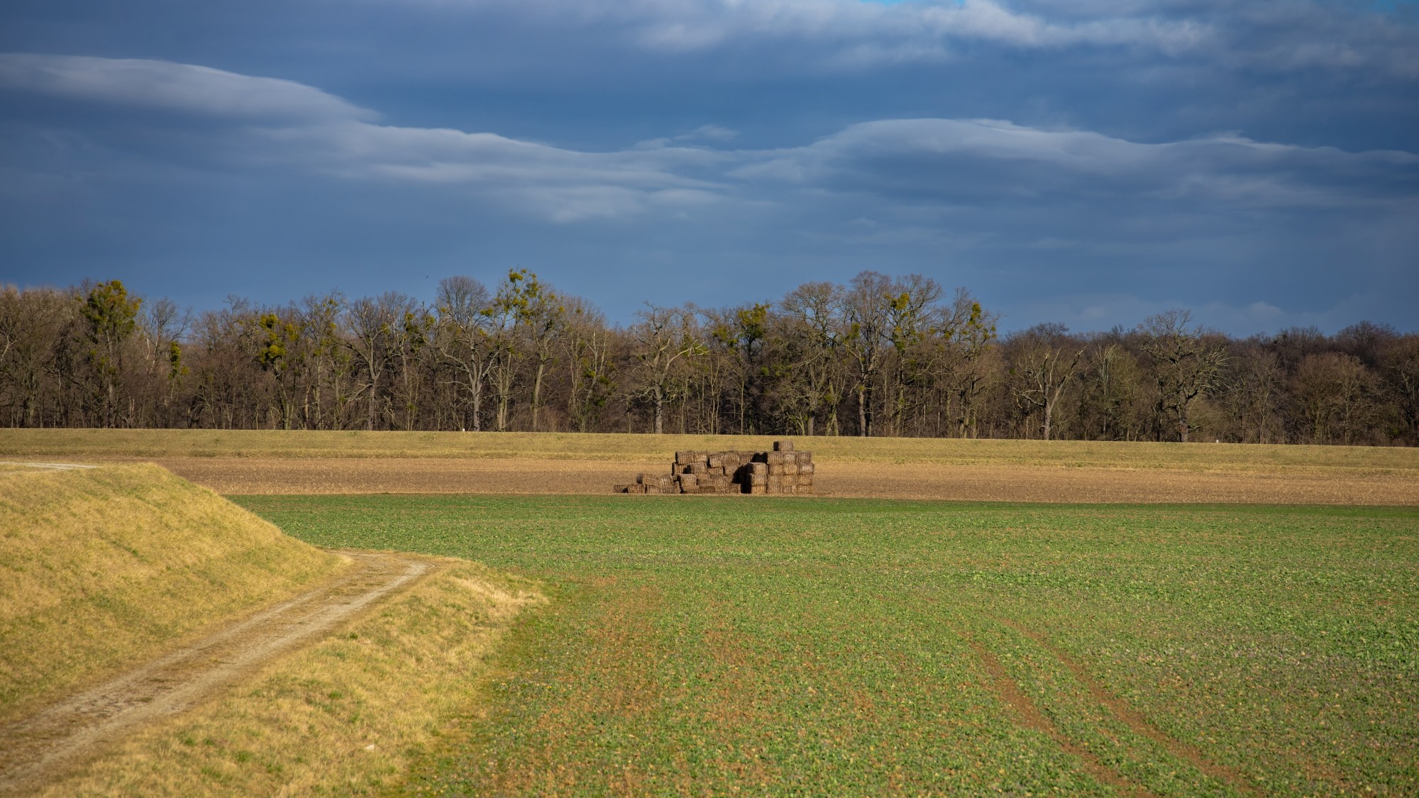 Wiosna coraz bliżej - zdjęcie 38