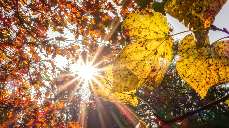 02.11.2017 10:08 Pogoda szykuje nam niespodziankę na weekend. Co nas czeka?