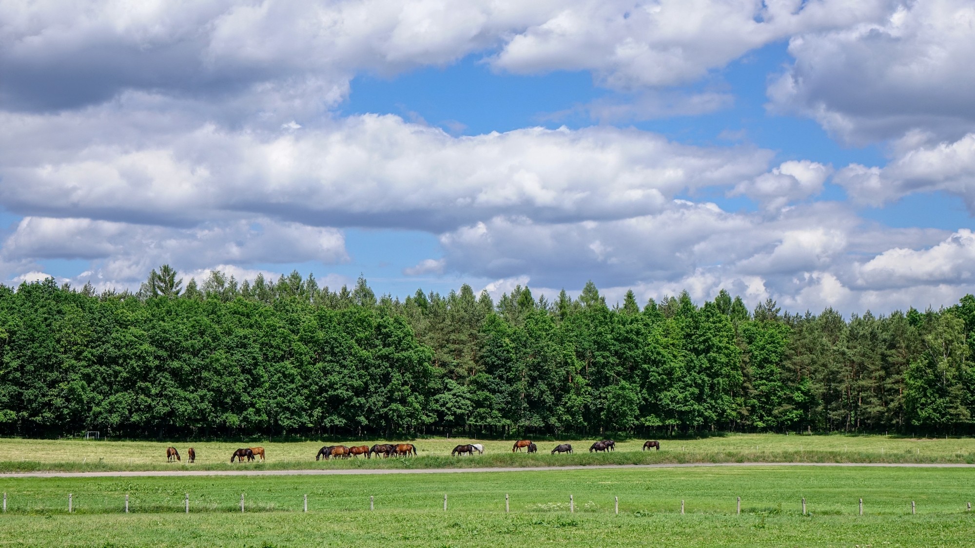 Z kamerą wśród zwierząt - zdjęcie 79