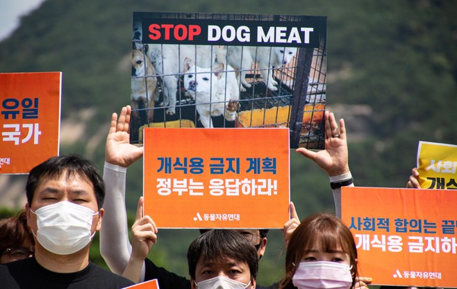 Urządzili udawany "psi pogrzeb". W przebraniach protestują przeciwko jedzeniu mięsa