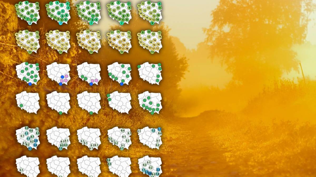 Siatka map Polski z zaznaczonymi opadami deszczu, deszczu ze śniegiem i śniegu.