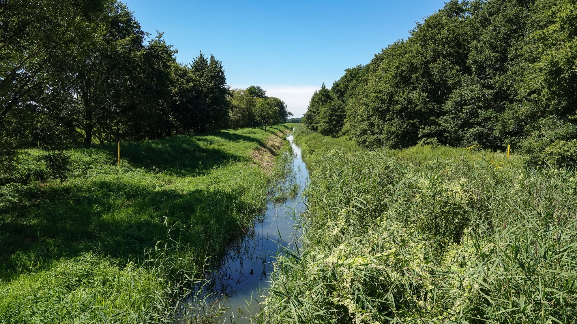 Na pożegnanie lata - zdjęcie 47