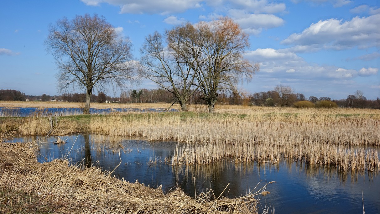 Marzec w obiektywie - zdjęcie 11