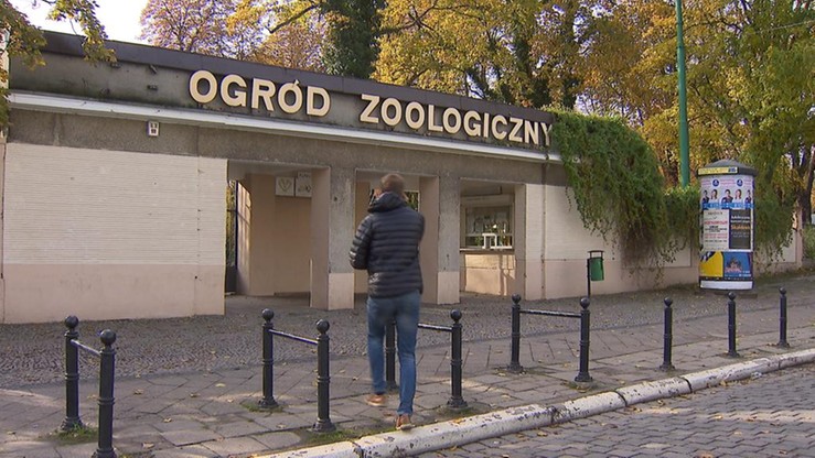 Uchylono decyzję powiatowego lekarza weterynarii ws. poznańskiego zoo. Ogród odzyskał wszystkie uprawnienia