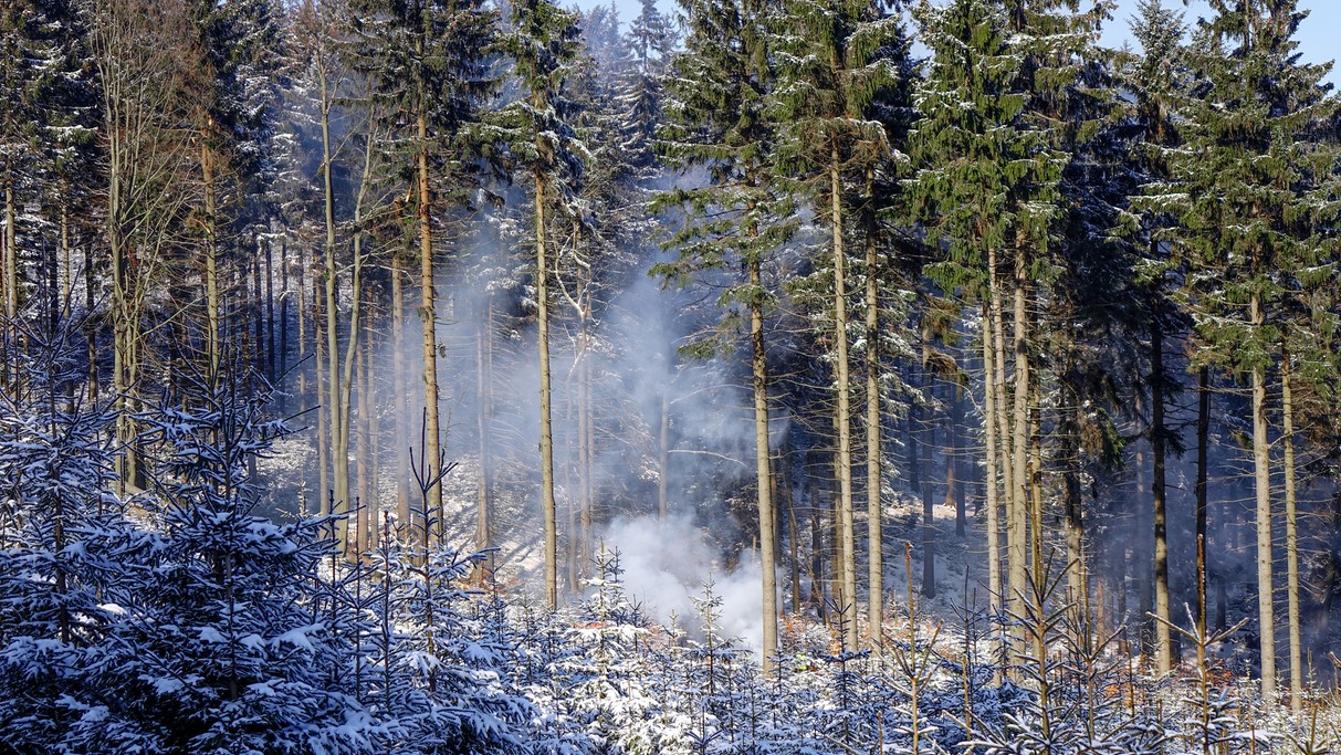 Luty w obiektywie - zdjęcie 40
