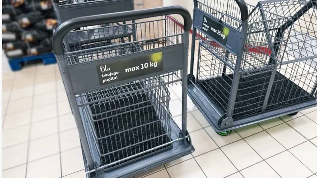 Wózki dla psów. Auchan wprowadza zaskakujące rozwiązanie