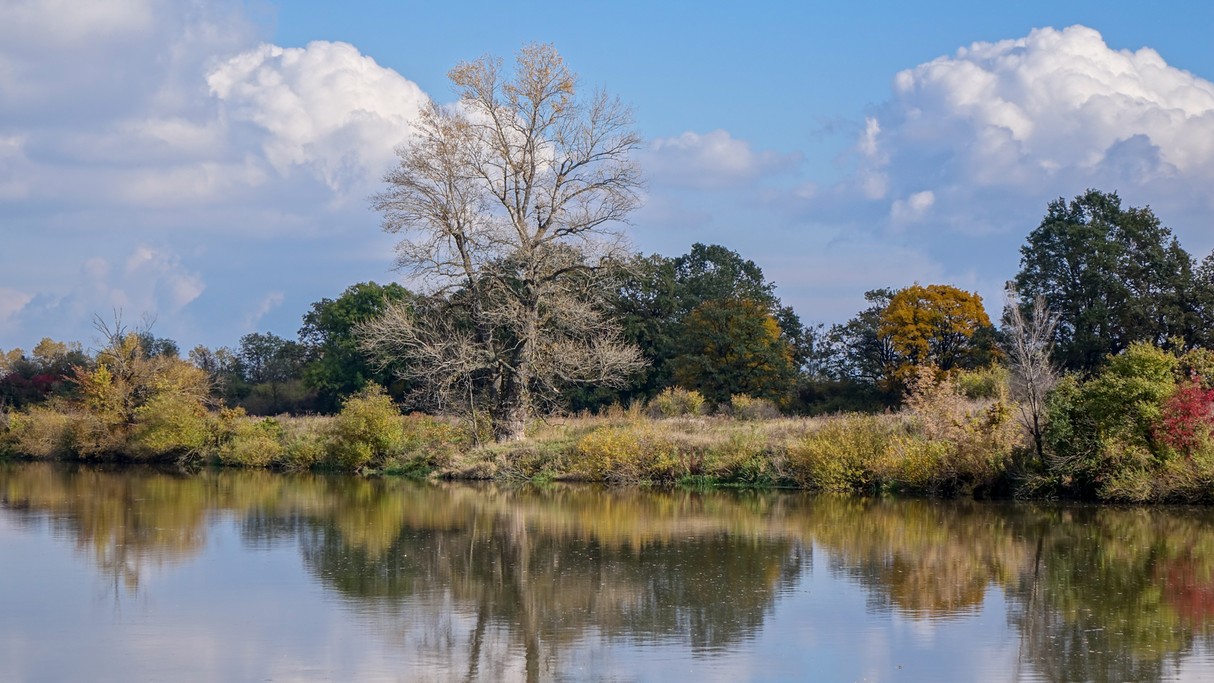 Nad morzem, jeziorami i rzekami - zdjęcie 4