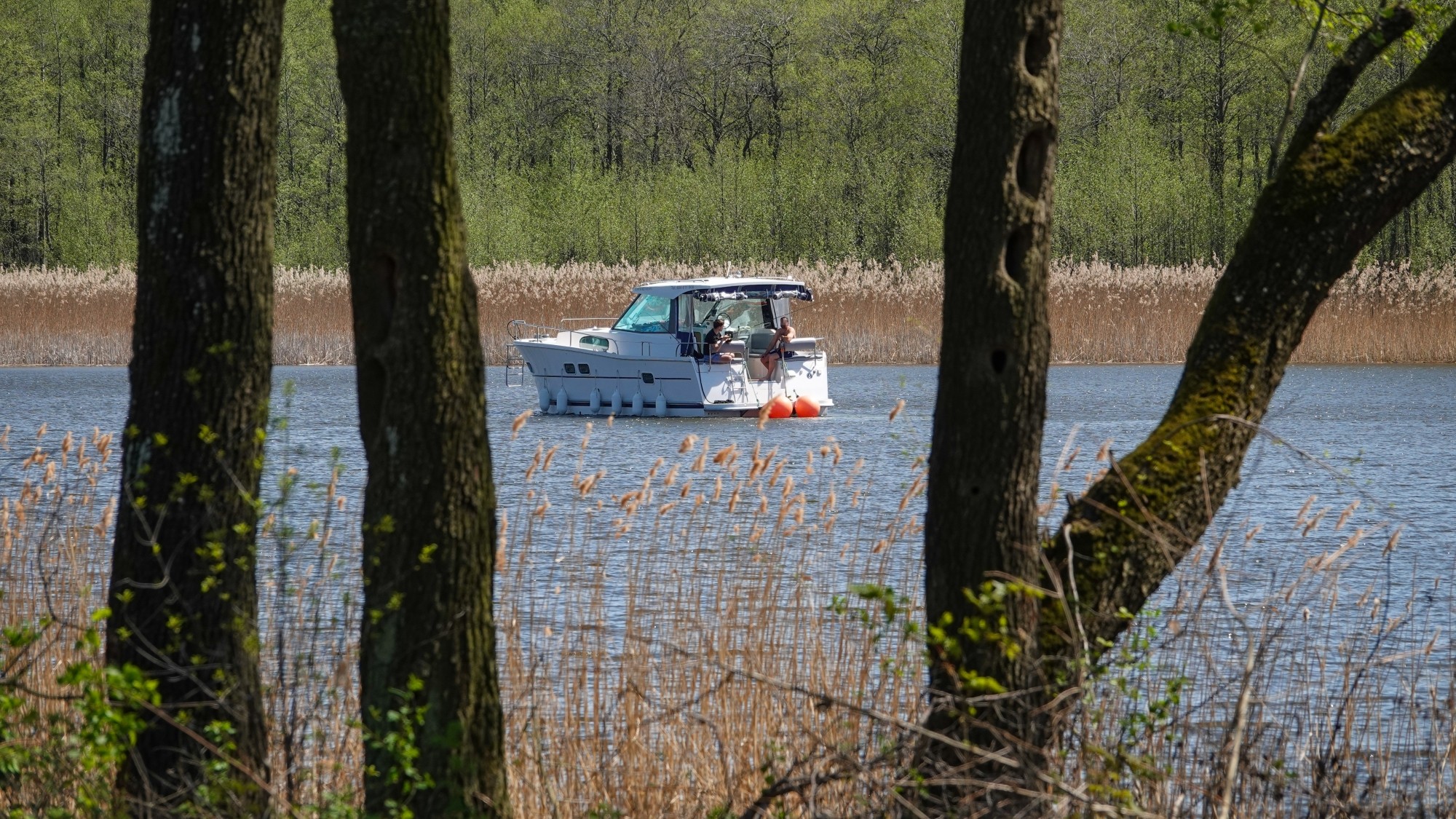 W maju jak w raju - zdjęcie 47