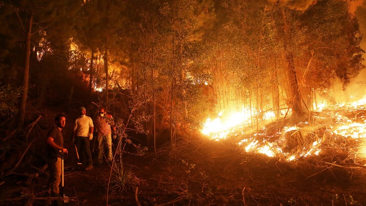 Wielkie pożary lasów w Chile. Są ofiary śmiertelne