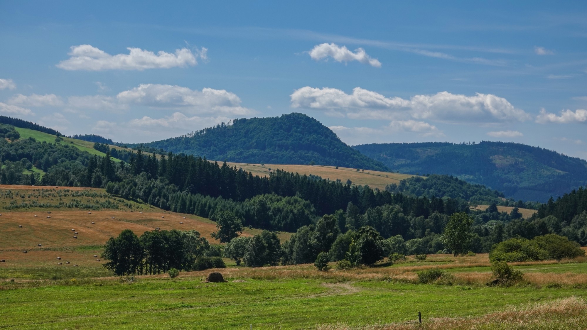 Góry Sowie, Suche i Kamienne - zdjęcie 25