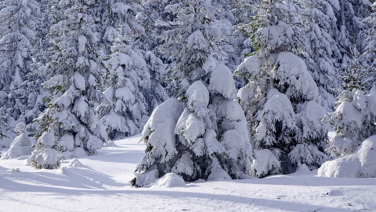 Zima w górach - zdjęcie 22