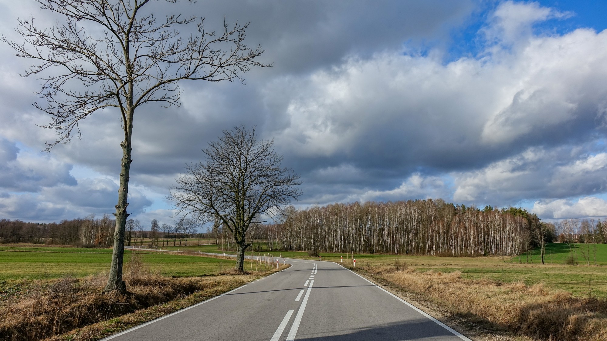 Najcieplejsza zima w historii - zdjęcie 5