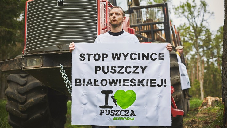 "Tu byłem, Jan Szyszko" - akcja Greenpeace w Puszczy Białowieskiej