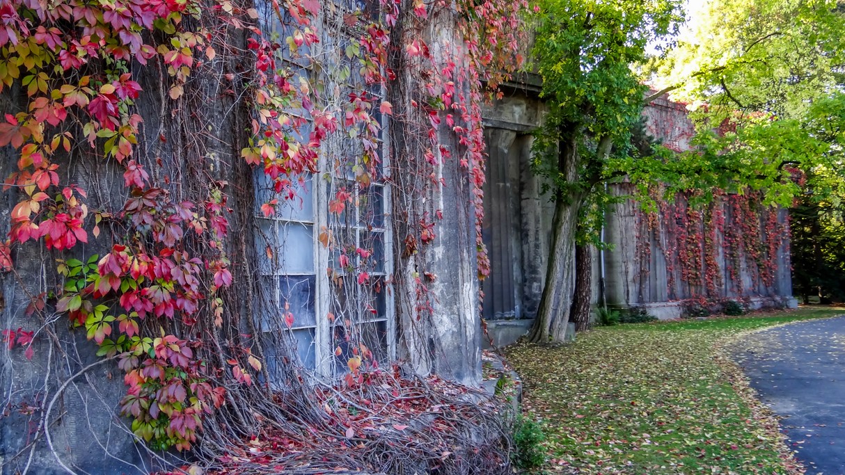 Piękno polskich krajobrazów - zdjęcie 8