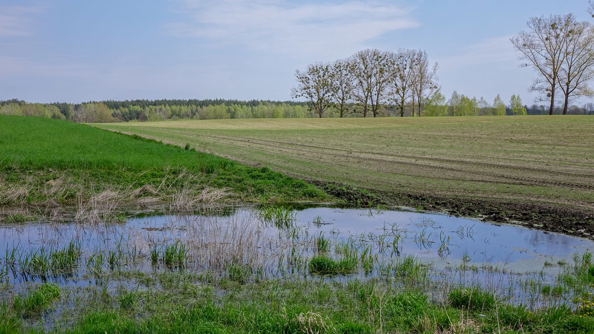 Nad morzem, jeziorami i rzekami - zdjęcie 94