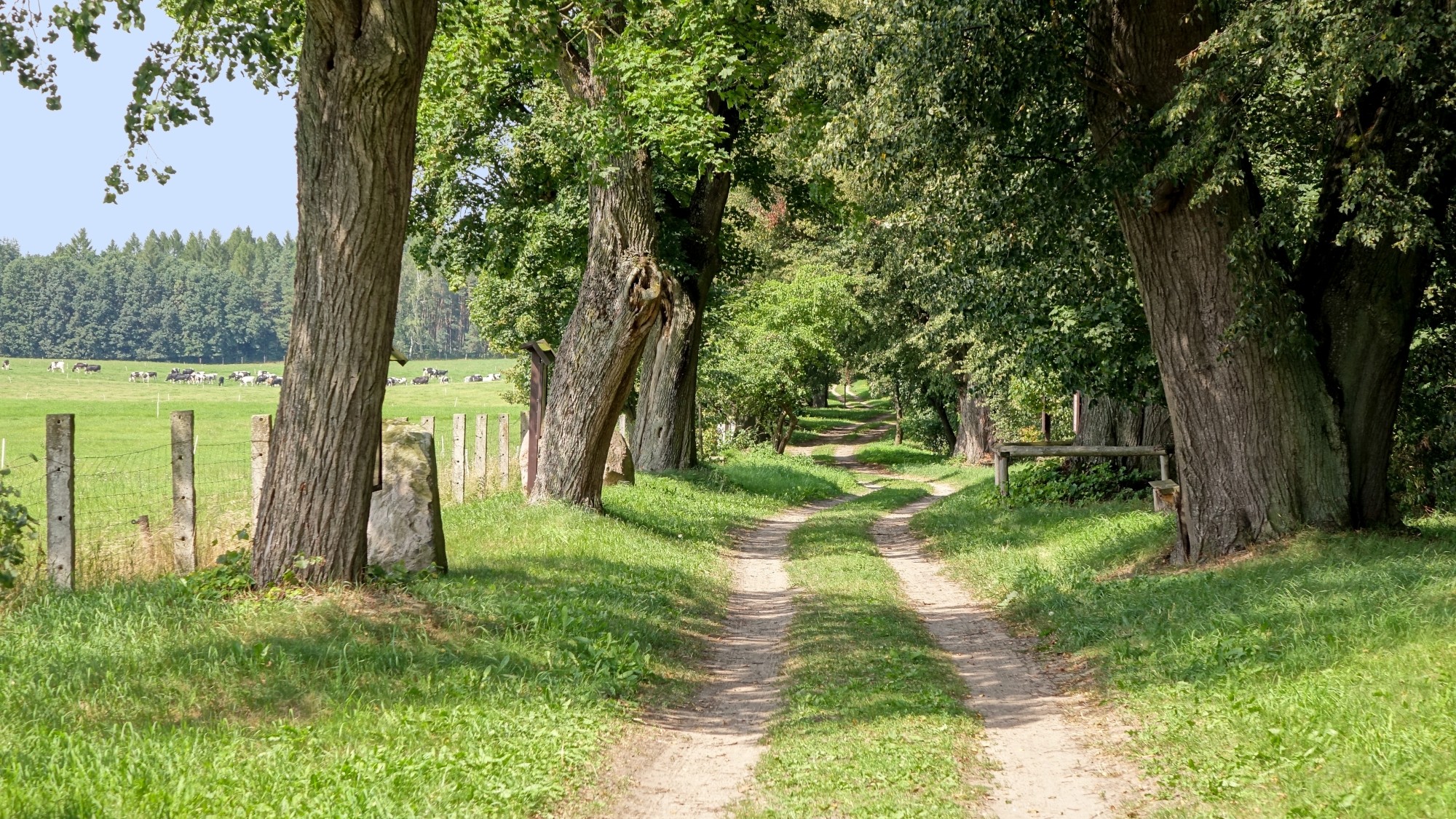 Cztery wakacyjne oblicza Polski - zdjęcie 32