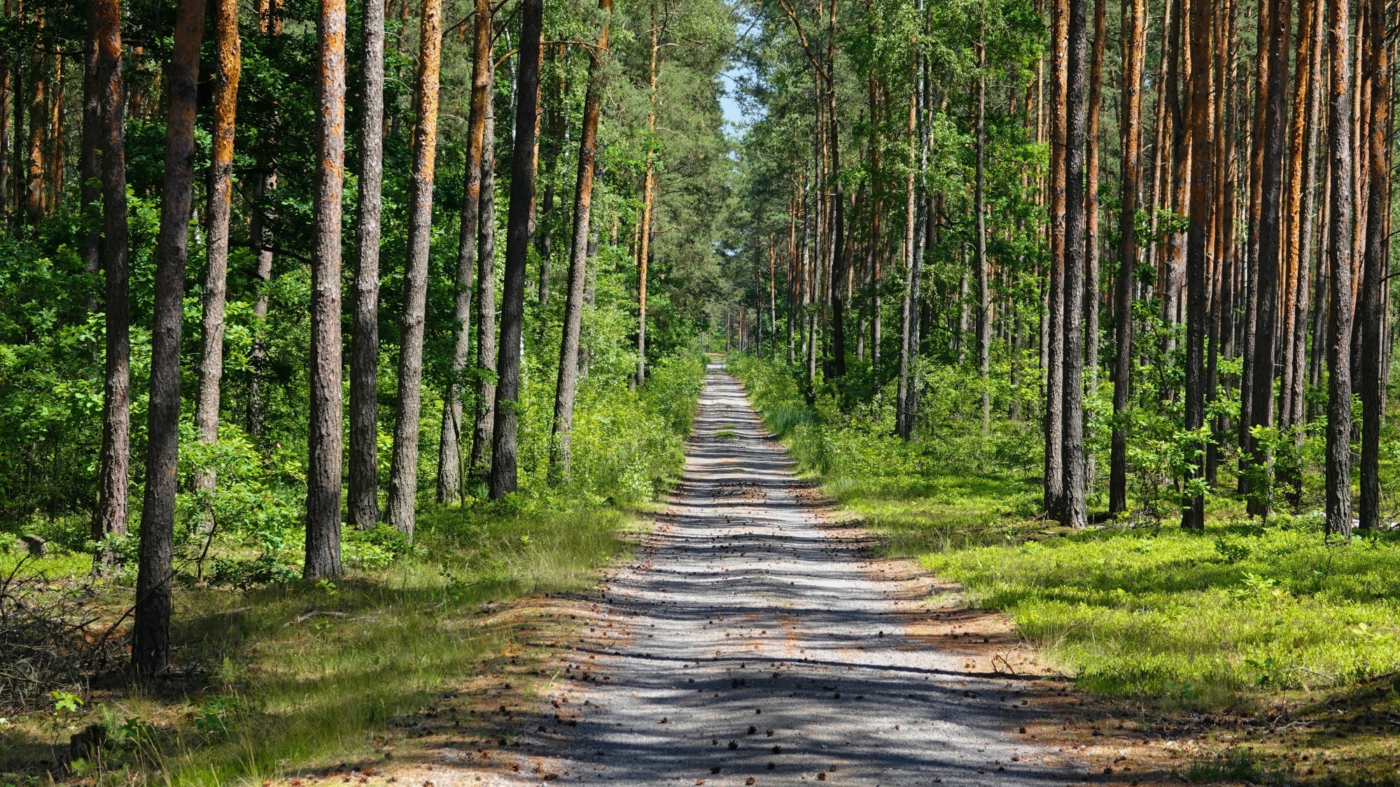 Od morza po góry - zdjęcie 4