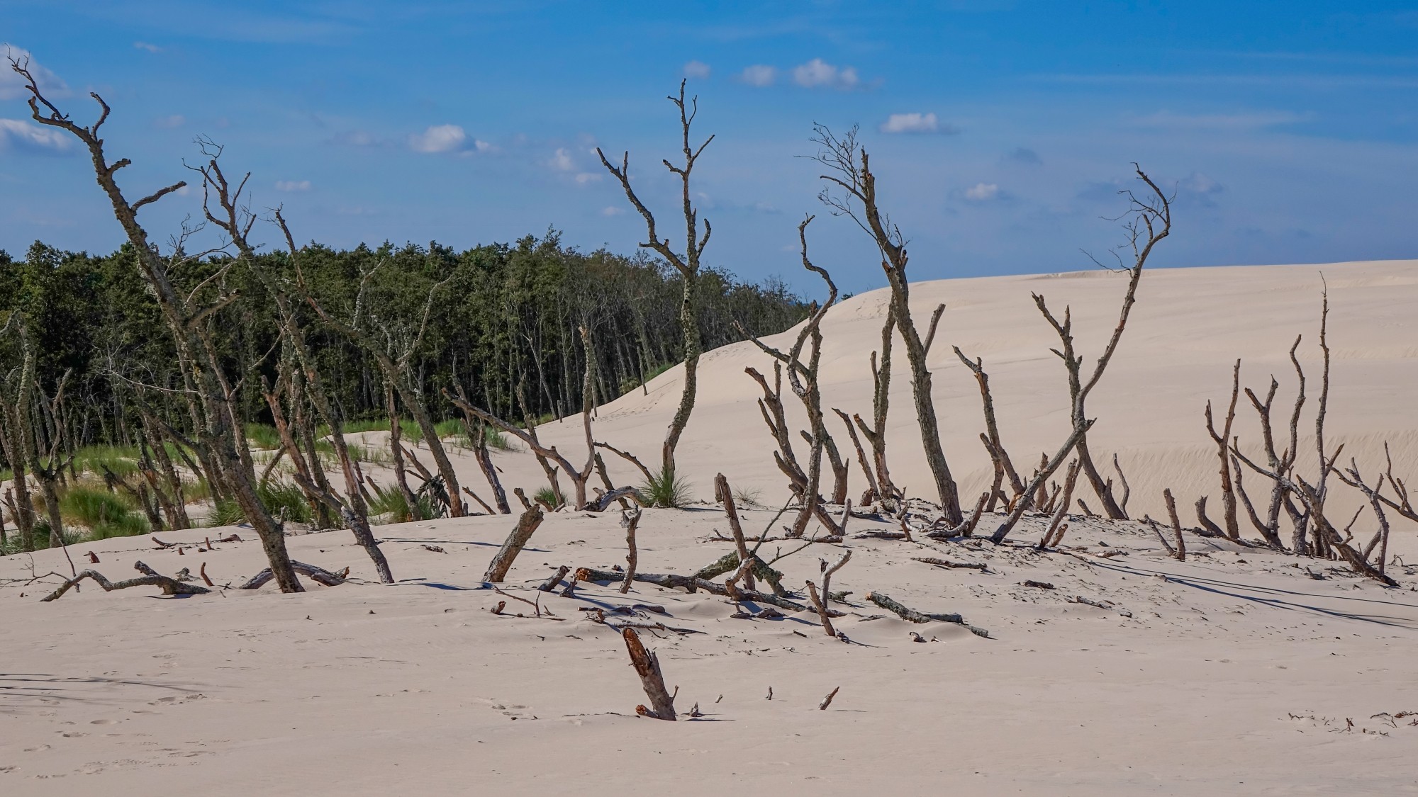 Od morza po góry - zdjęcie 29