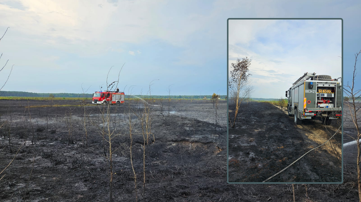 Pożar na poligonie w Żaganiu. Cztery samoloty w akcji