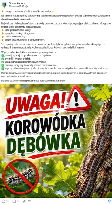 Gąsienice korowódki dębówki stanowią zagrożenie dla zdrowia