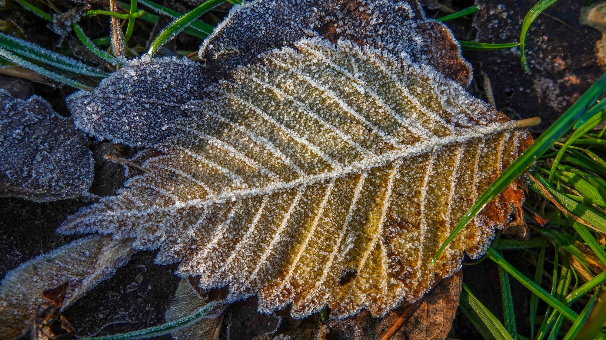 100 najpiękniejszych zdjęć 2021 roku - zdjęcie 52