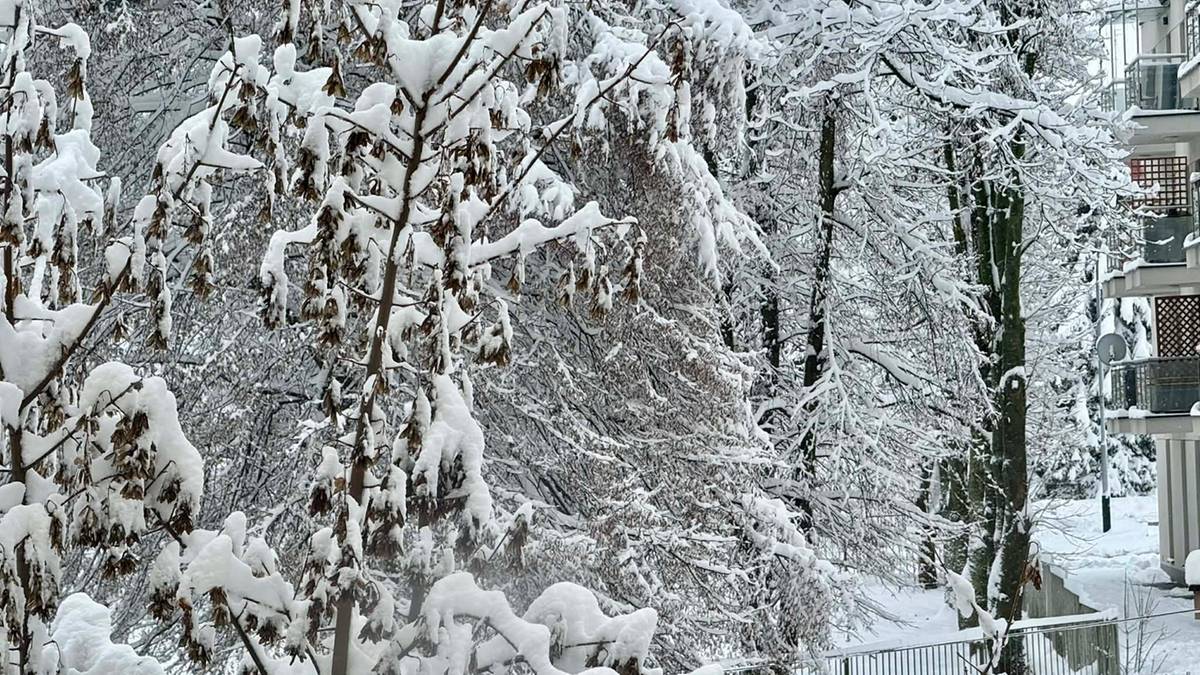 Zima na Podkarpaciu, śnieżyca powoduje problemy z prądem i utrudnienia na drogach