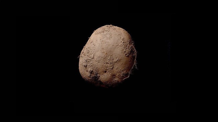 Zdjęcie ziemniaka sprzedane za milion euro. To jedna z najdroższych fotografii w historii