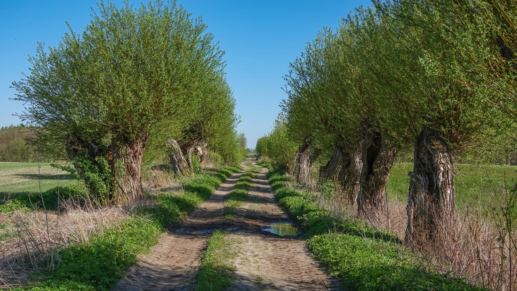 W maju jak w raju - zdjęcie 18