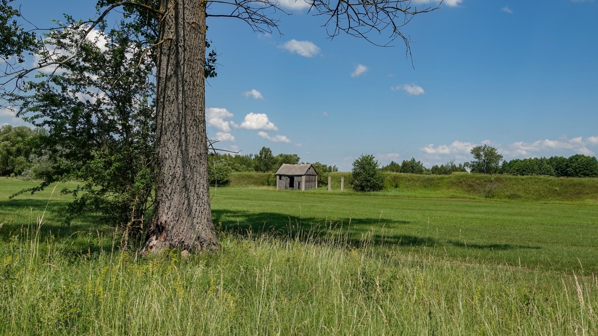 Letnie klimaty na łonie natury - zdjęcie 46