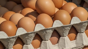 Prawie pół miliona jajek z fipronilem wycofano z rynku w Bułgarii