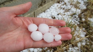 06.06.2021 12:00 Grad zniszczył uprawy, deszcz zalał domy i drogi, a wiatr połamał drzewa. Przed nami seria burzowych dni