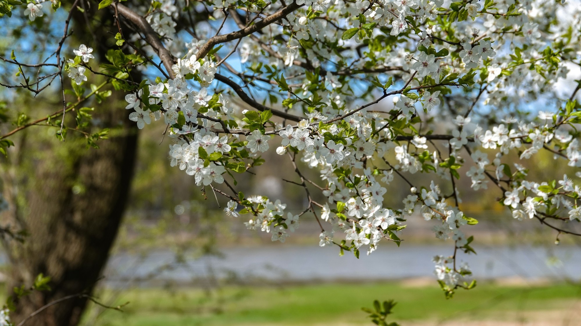 100 najpiękniejszych zdjęć 2021 roku - zdjęcie 55