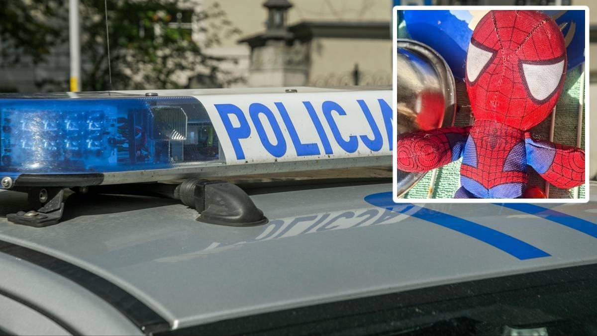 Myślał, że to dziecko. Zaskakujący finał policyjnej interwencji