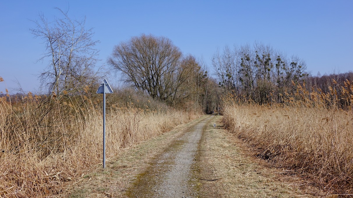 Marzec w obiektywie - zdjęcie 54
