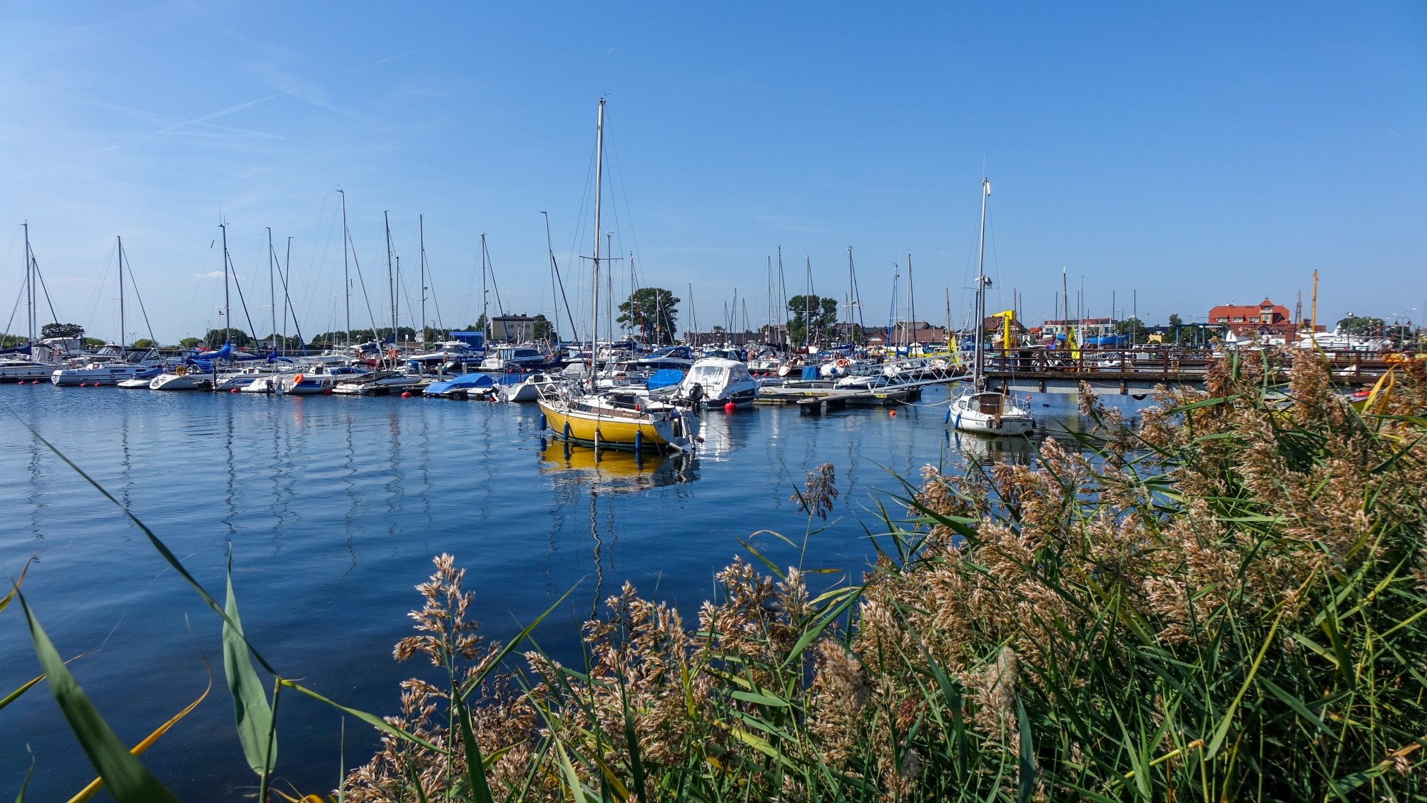 Sierpień w obiektywie - zdjęcie 7