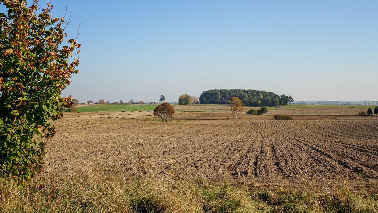 Podróż przez jesienną Polskę - zdjęcie 17
