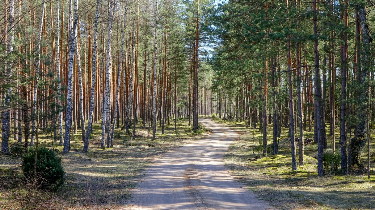 Powiewy wiosny - zdjęcie 16