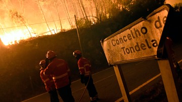 UE pomoże Portugalii w gaszeniu pożarów lasów