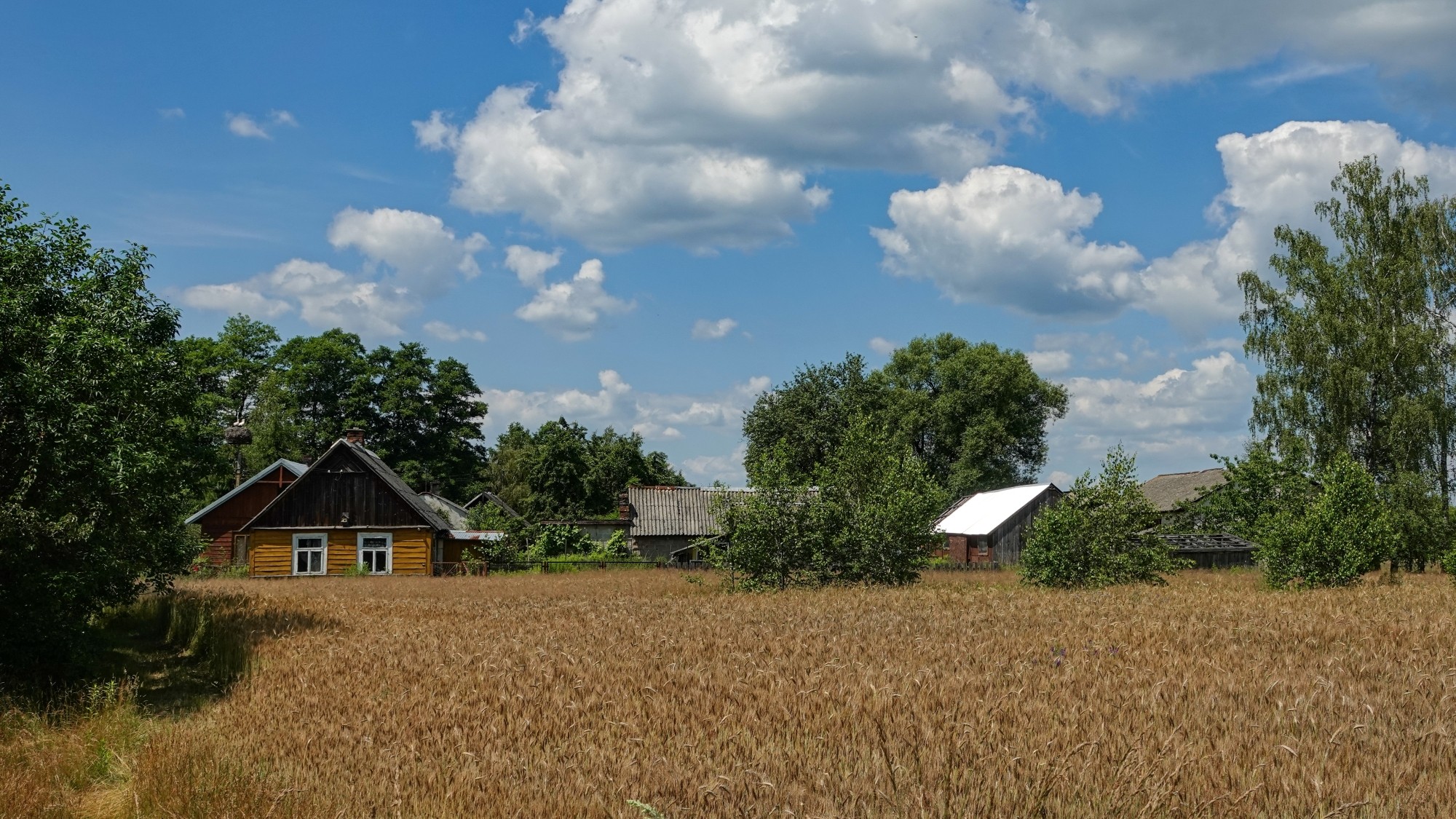 Podróż przez polską prowincję - zdjęcie 56