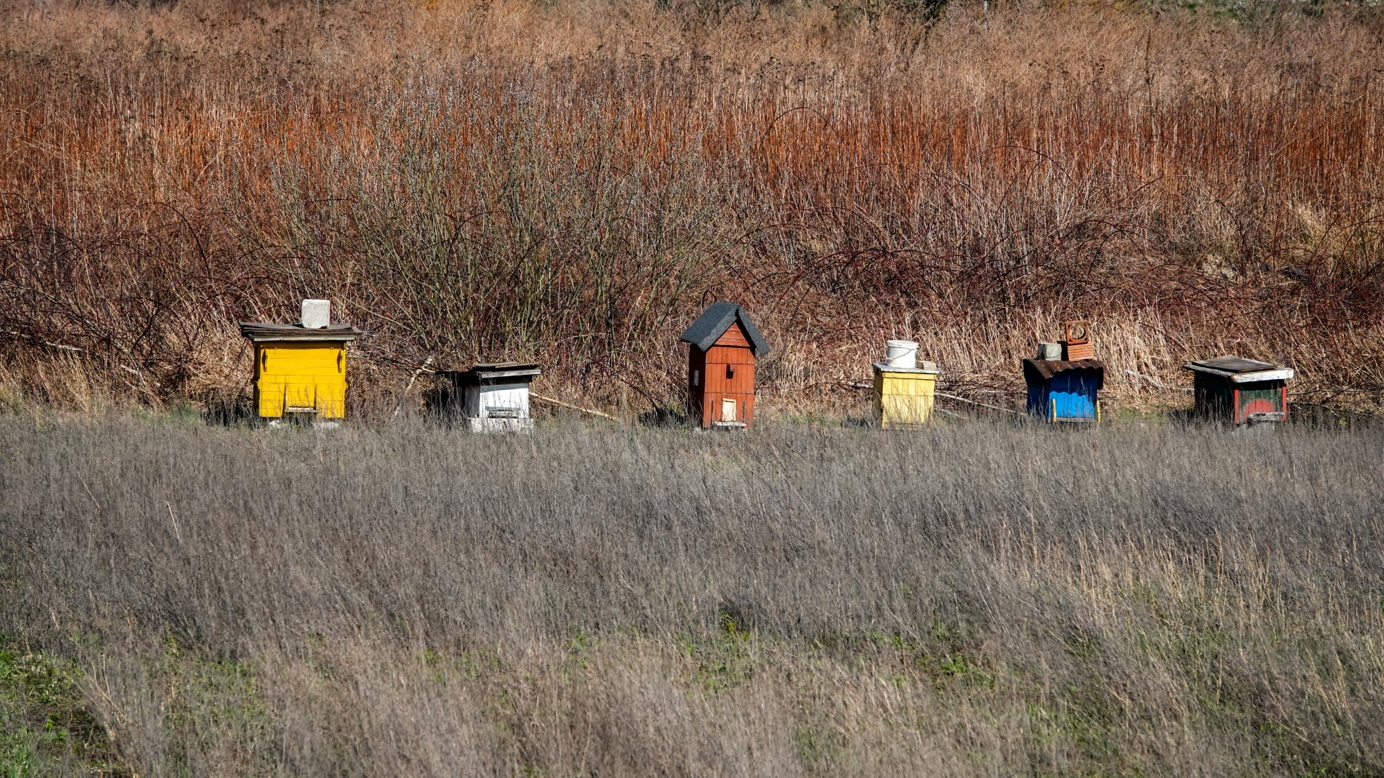 Marzec w obiektywie - zdjęcie 30