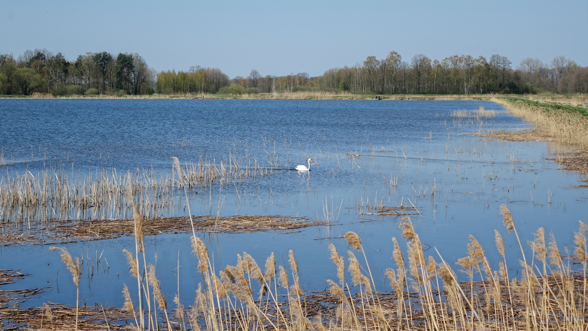 Kwiecień w obiektywie - zdjęcie 32