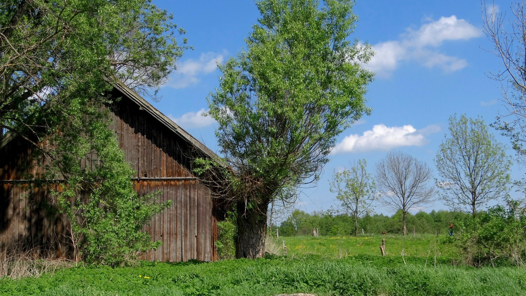 100 najpiękniejszych zdjęć 2021 roku - zdjęcie 24