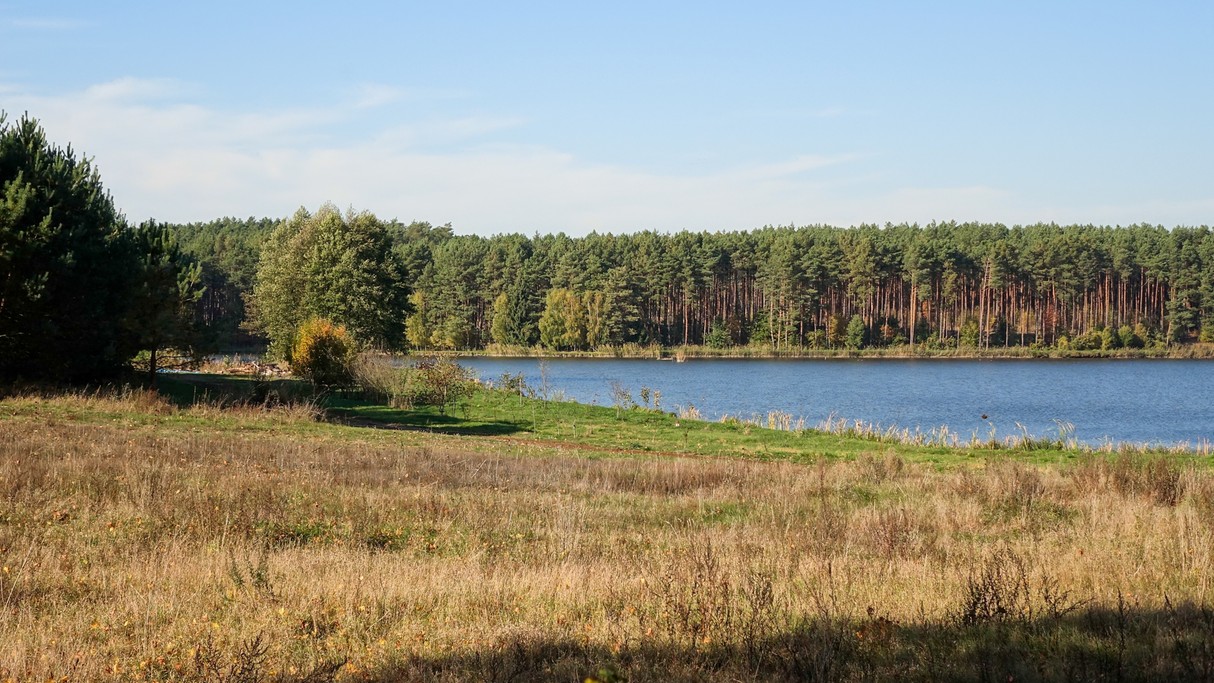 Jesienne krajobrazy za miastem - zdjęcie 47