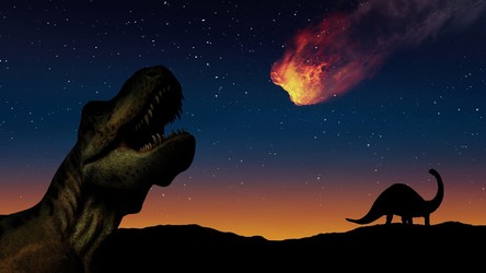 12.08.2021 05:54 Naukowcy znają pochodzenie planetoidy, która unicestwiła dinozaury