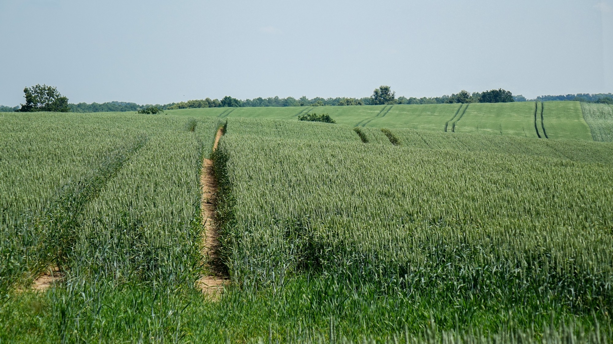 Uroki lata za miastem - zdjęcie 42